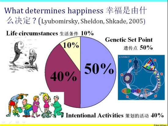 幸福是什么决定的？